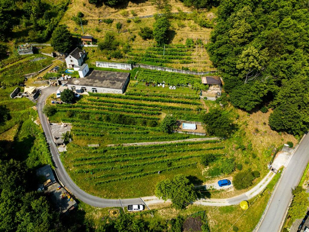 Veduta aerea della cantina e dei vigneti dell'Azienda Agricola Edoardo Patrone