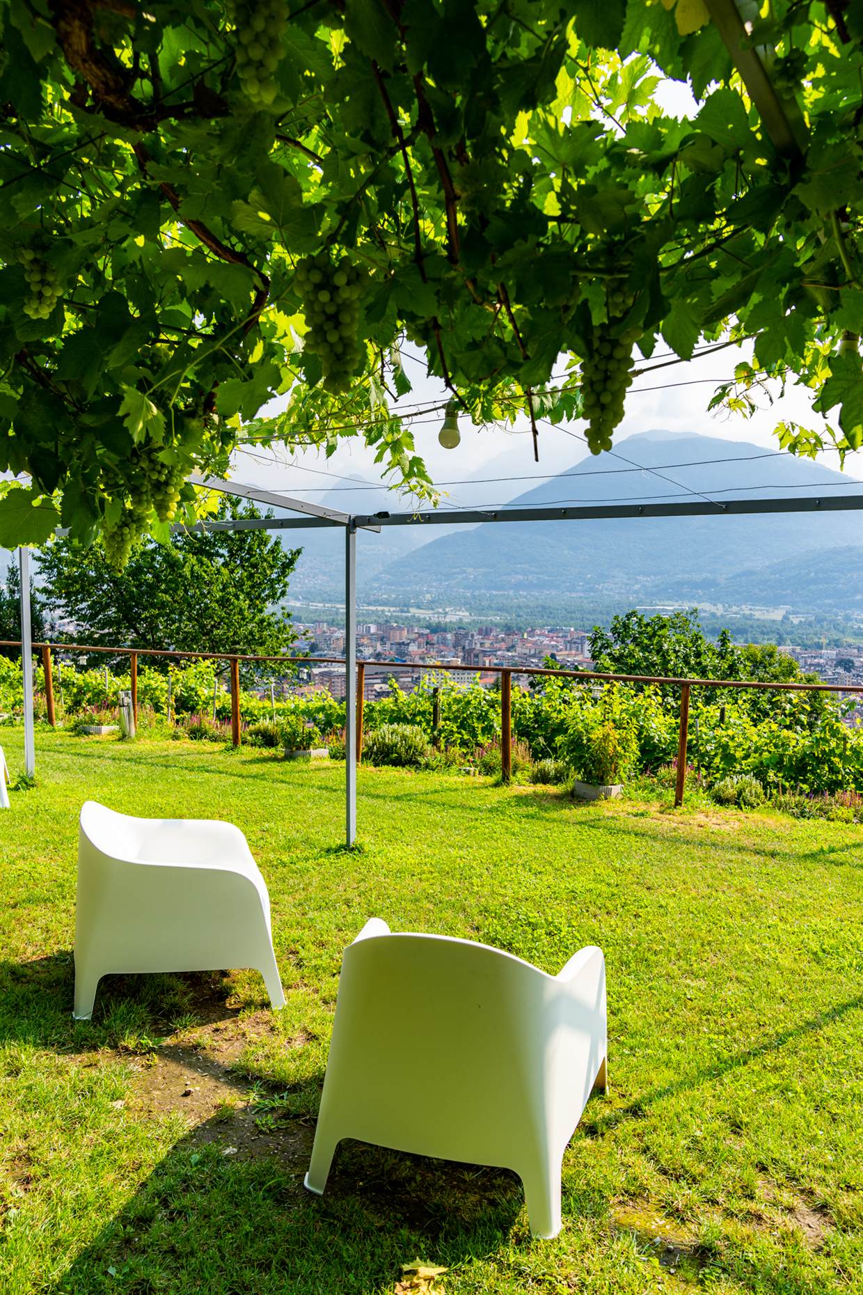 Terrazza panoramica per le degustazioni di vino in Val d'Ossola