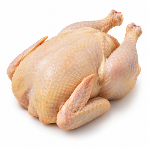 Gallina