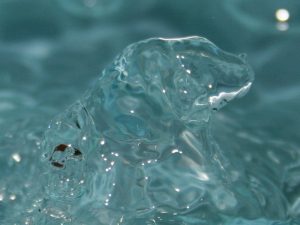 Acqua