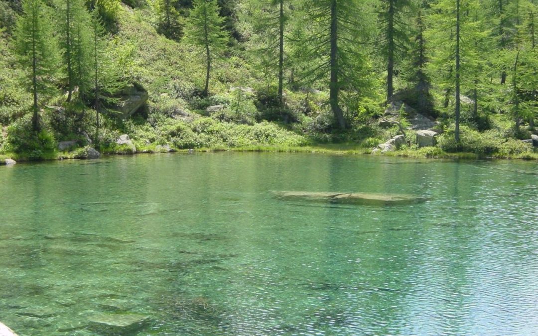 Alpe Veglia: pastos y naturaleza salvaje en el Parque Veglia-Devero