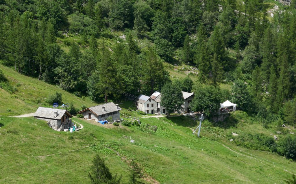 Agriturismo all'Alpe Burki, dove nasce la toma walser