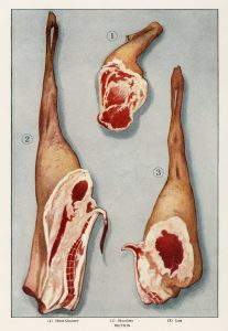 Chevreau (épaule ou cuisse)