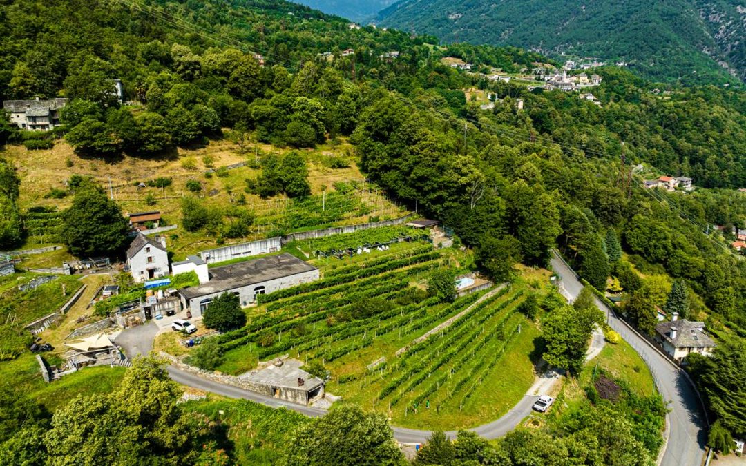 Nuestra empresa: quiénes somos y nuestra historia