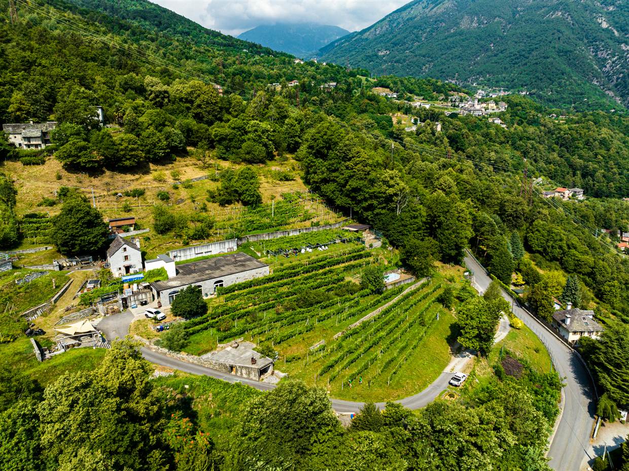 Veduta aerea dei vigneti e del borgo dell'Azienda Agricola Edoardo Patrone