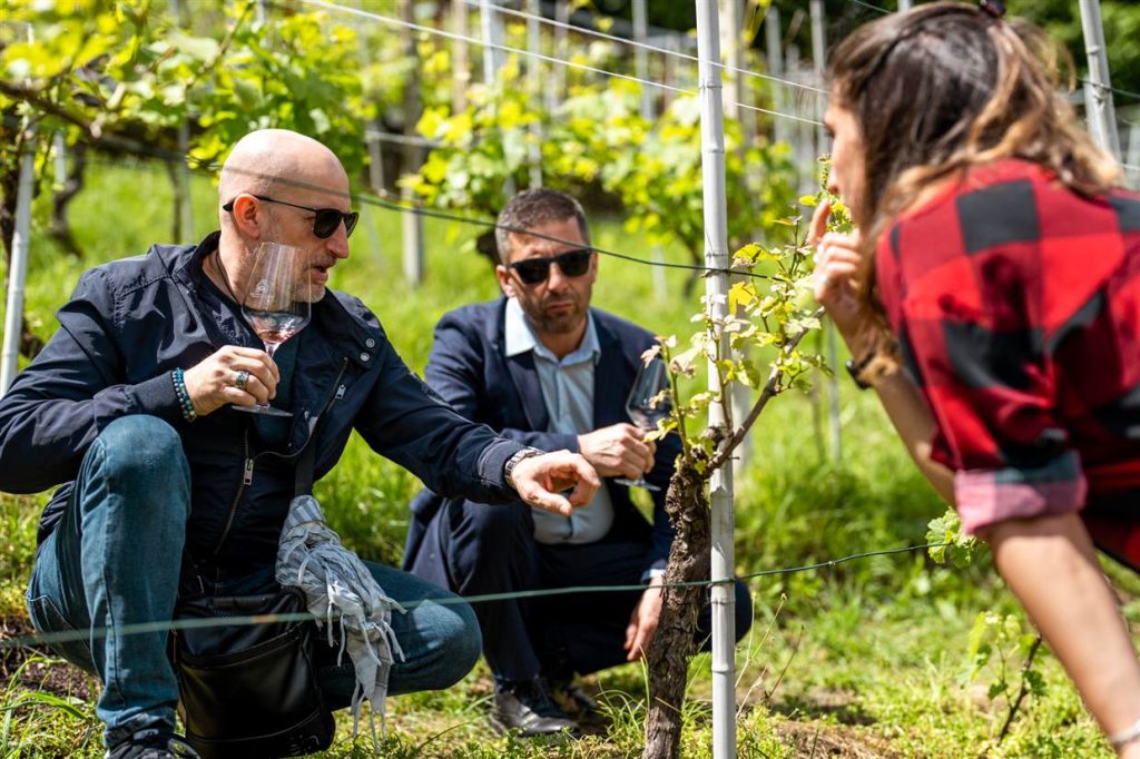 Degustazione del vino Prünent direttamente tra i filari del vigneto