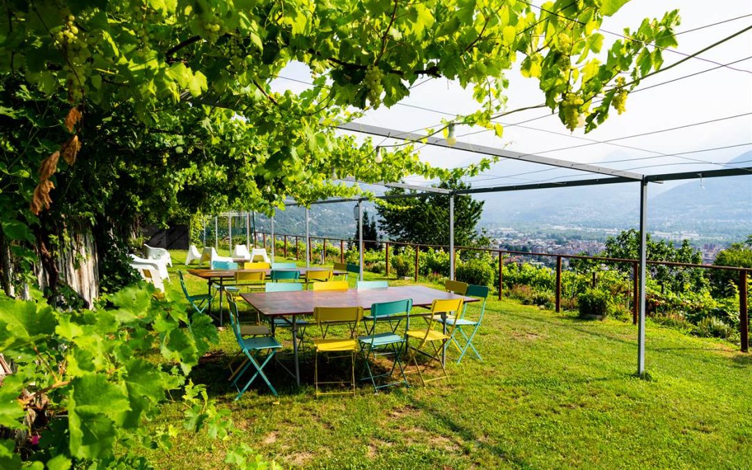 Ossola, tierra de vinos: enoturismo en el Val d’Ossola