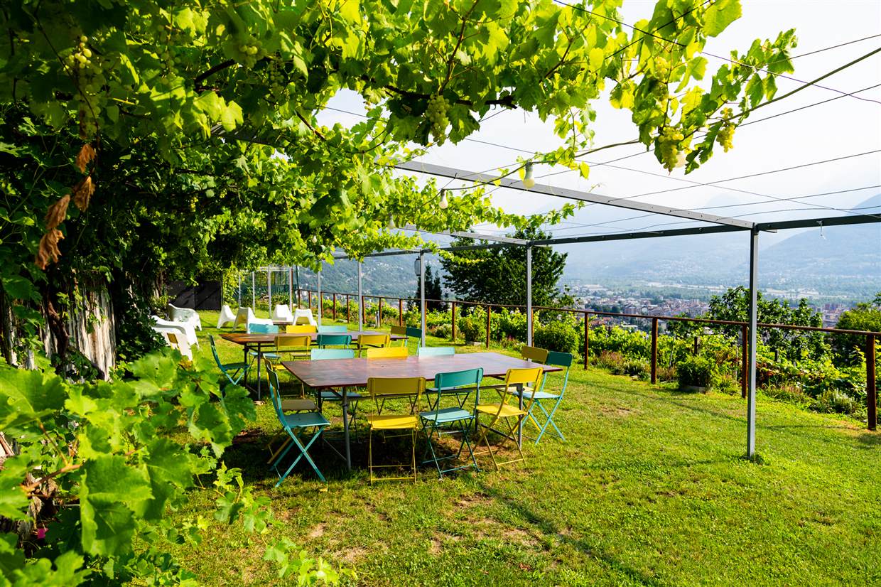 Degustazione di vino sotto il pergolato con vista sulla Val d'Ossola